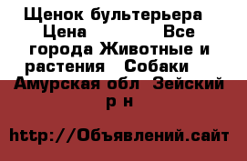 Щенок бультерьера › Цена ­ 35 000 - Все города Животные и растения » Собаки   . Амурская обл.,Зейский р-н